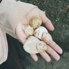 yulianti_6801