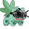 bulbicrave
