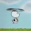 .snoopyiscool