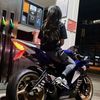 yew_c.ania