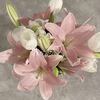 sheem_511