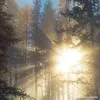 missgren_