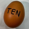 텐에그 Ten Egg