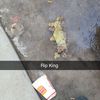 🍁⎛⎝kyle⎠⎞🍁�������