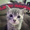 LB By Raven