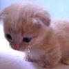 welfarebaby27