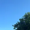 .wujibifan