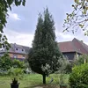 brauchstdunichtwissen0