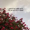 sarahassan086