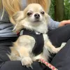 leonichtvrfgbdeinemama