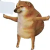 koalax12