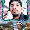 user3360868308632