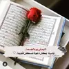user587883540