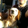 fellipethelegend