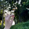 nangha595