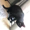 leonharding8