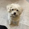 ngthithaoly006