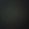 al_medi19