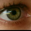 olxa2008