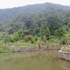 bungafitri_15