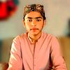 sardarshahidhafee