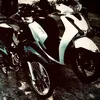 shinunin_1234
