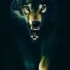 rashadkalhury27