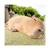 kirishimatoka__