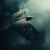 alaazoom10