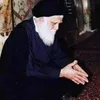 lmirza313