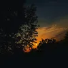 hani_fa_98