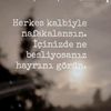 solmazcengiz