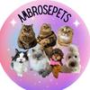 Ambrosepets