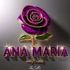 ana408989