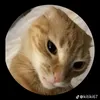 ariesake30