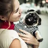 pug_barny