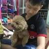 tunghip86