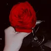 roze58895