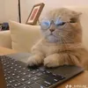 bdqmai_311