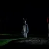 Inglourious Cinema