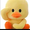 ducksoldierwwe
