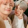 bts_army_vmin73