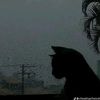mariam99976