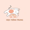 Cá nhỏ học tiếng Trung