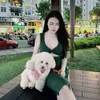 Thảo Lynh 🐰