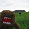 muppetluvr666