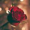 rose202010