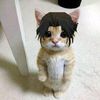 _animebsd_0