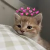 jdbchloe