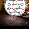 rayyanm35